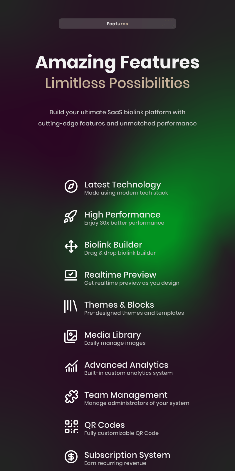 Blink Bio Link Features List 1